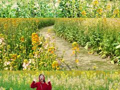 -中国天府农业博览园