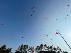 -上海海湾国家森林公园