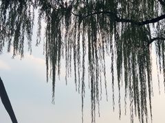-西湖游船