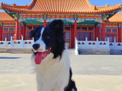 -盛世南宫影视城(北普陀影视城)