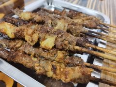 -民族烤羊·烤羊肉串·烤羊排(南城店)