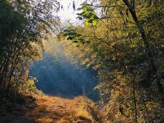 -南京市无想山景区
