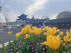 -苏州上方山国家森林公园