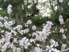 -北京奥林匹克公园