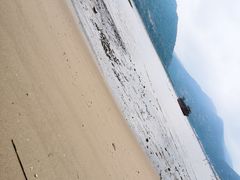 -北岐滩涂