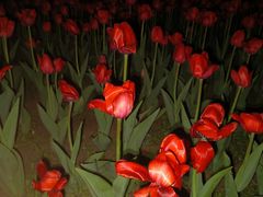 -长春公园(普阳街道)