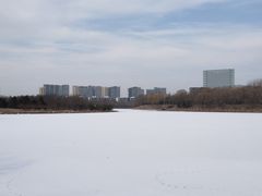 -大兴滨河森林公园