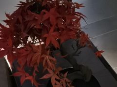 -名岛家宴(龙塔店)