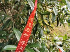 -梦姑塘文化公园