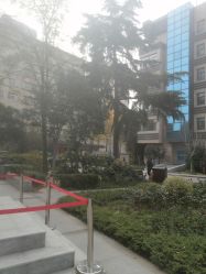点击看大图 -河南中医药大学第一附属医院-医疗整形