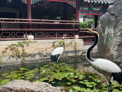 -戏马台景区