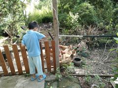 -龚家花园农家乐休闲别墅