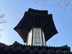 -上海佘山国家森林公园天马山园