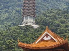 -深圳仙湖植物园