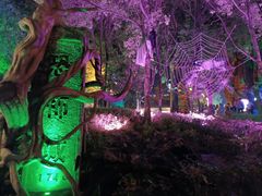 -横店影视城梦幻谷园区
