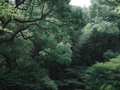 -杭州植物园