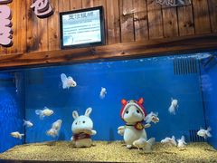 -合肥海洋世界