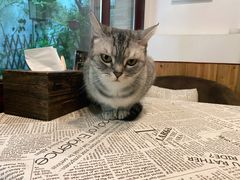 -隅cafe(傅厚岗店)