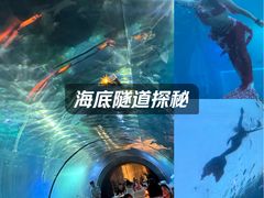 -海棠湾洲际-涛·海底餐厅·美人鱼·自助餐·海底隧道