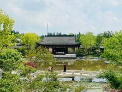 -上海滨江森林公园