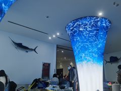 -深海中餐厅(国家海洋博物馆店)