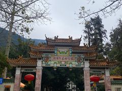 -广州市流溪河国家森林公园
