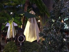 -福照楼汽锅鸡·云南菜(护国路店)