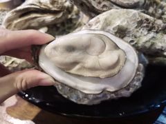 生蚝-七裕庄(凯旋南路店)