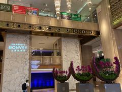 -广州粤海喜来登酒店