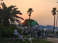 -碧海金沙