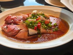 东星斑-遇外滩(BFC外滩金融中心店)