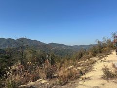 -长沙黑麋峰国家森林公园