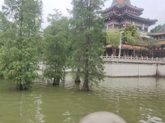-顺峰山公园