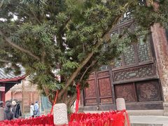 -古大圣慈寺