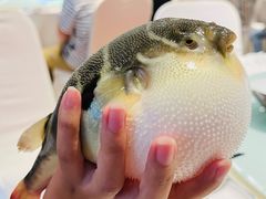 -永安鱼庄·镇江菜(东吴路店)