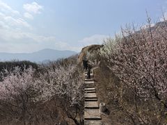 -北京凤凰岭