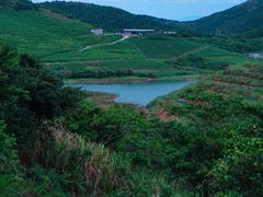 -嵛山岛