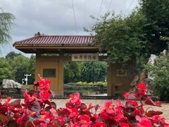 -黑龙江省森林植物园