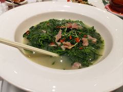 -宝园酒家(美林M·LIVE天地东座店)