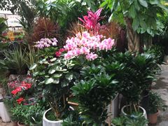 -秦美花卉(天朗·莱茵小城2期店)