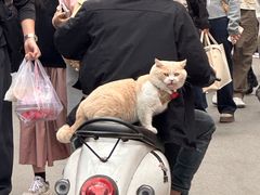 -柳侯公园
