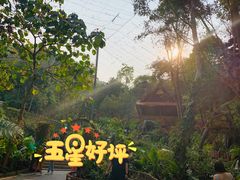 -野象谷景区