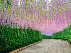 -东莞观音山旅游风景区
