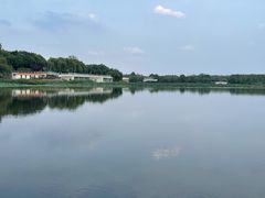 -大兴滨河森林公园