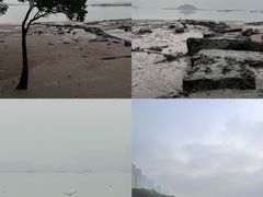 -海沧湾公园