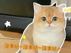-海鹰大厦(岗厦牌坊街)