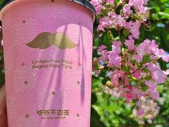 -啫神·广州地标美食(北京路店)