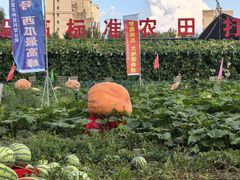 -长春农业博览园