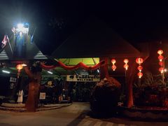 -绿光森林餐厅