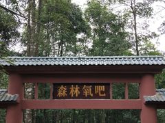 -九龙江国家森林公园